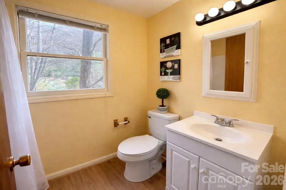 1511 Water Wheel Cove Clyde, NC 28721