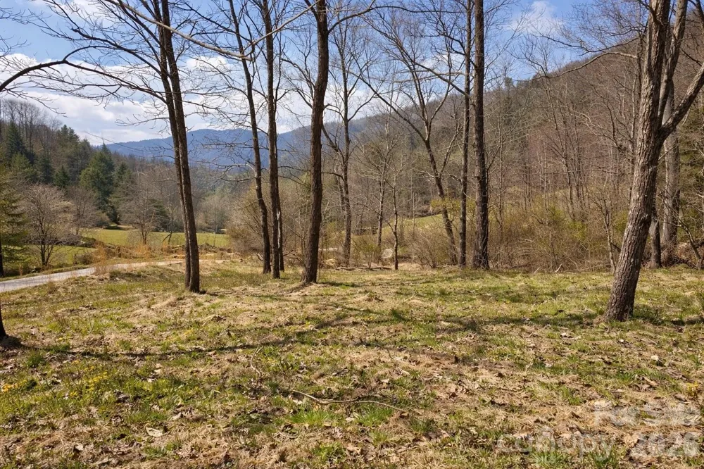 1511 Water Wheel Cove Clyde, NC 28721
