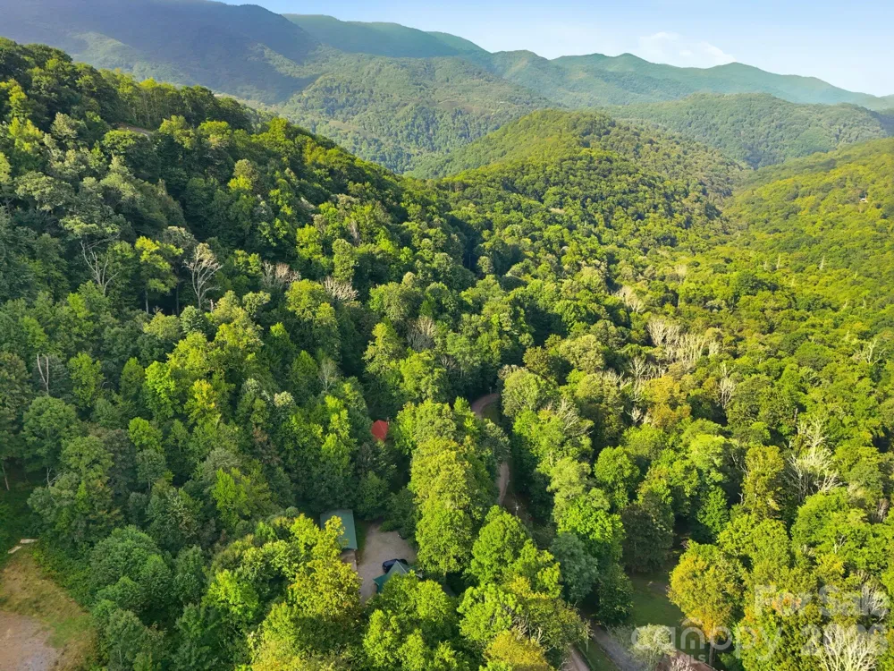 959 Plott Balsam Road Maggie Valley, NC 28751