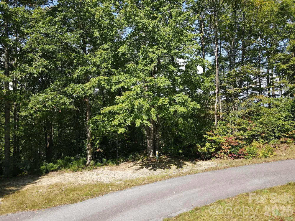 303 Ladd Ridge Rosman, NC 28772