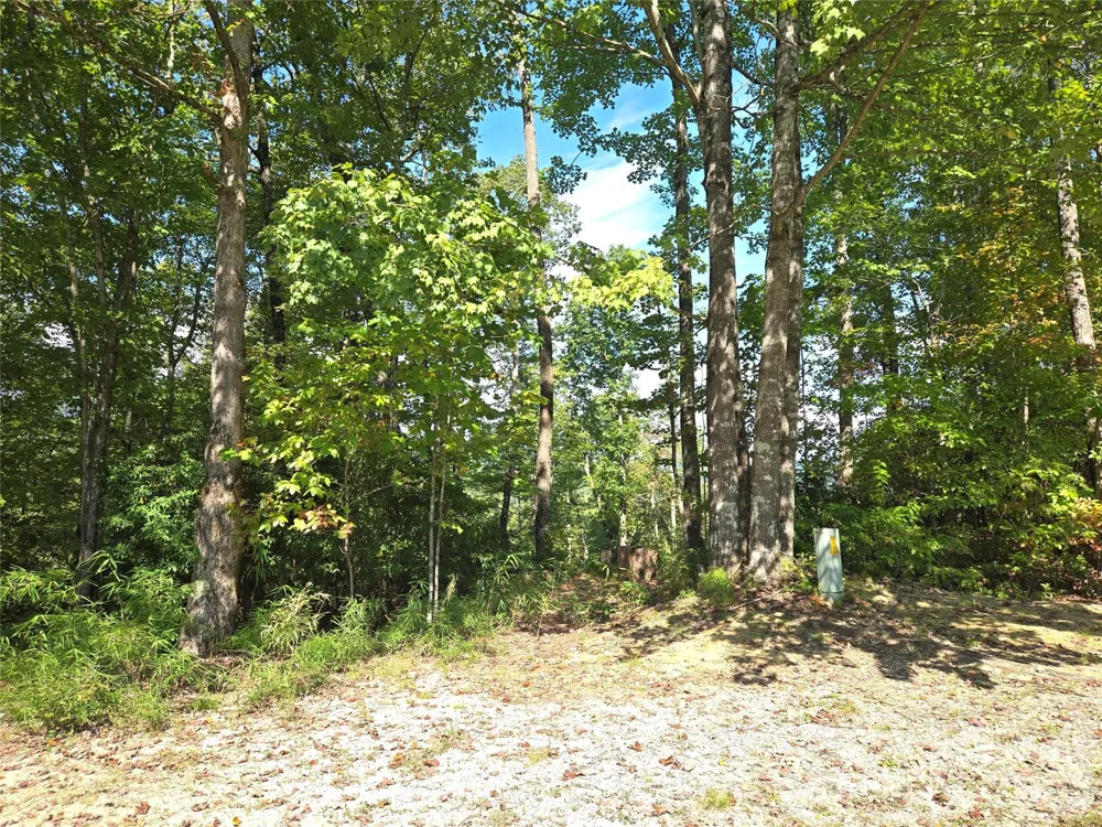 303 Ladd Ridge Rosman, NC 28772