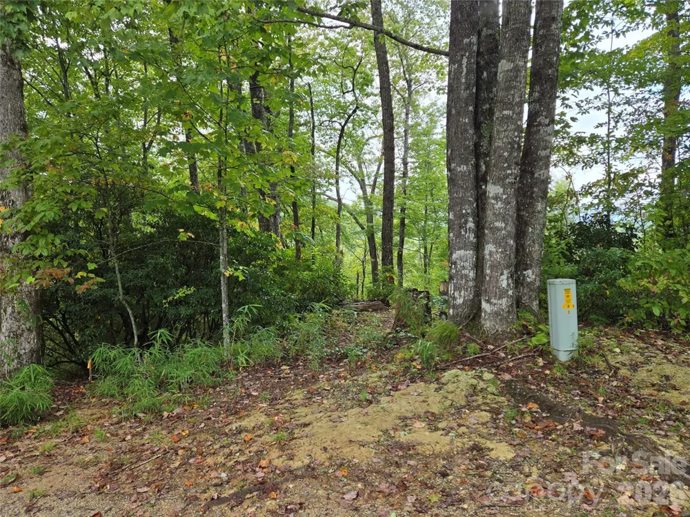 303 Ladd Ridge Rosman, NC 28772