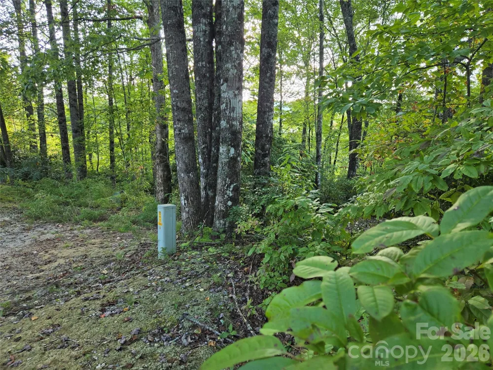 303 Ladd Ridge Rosman, NC 28772