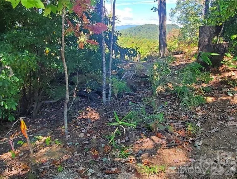 303 Ladd Ridge Rosman, NC 28772