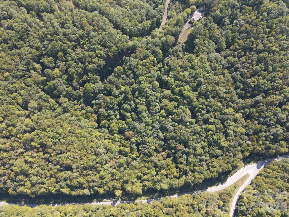 303 Ladd Ridge Rosman, NC 28772