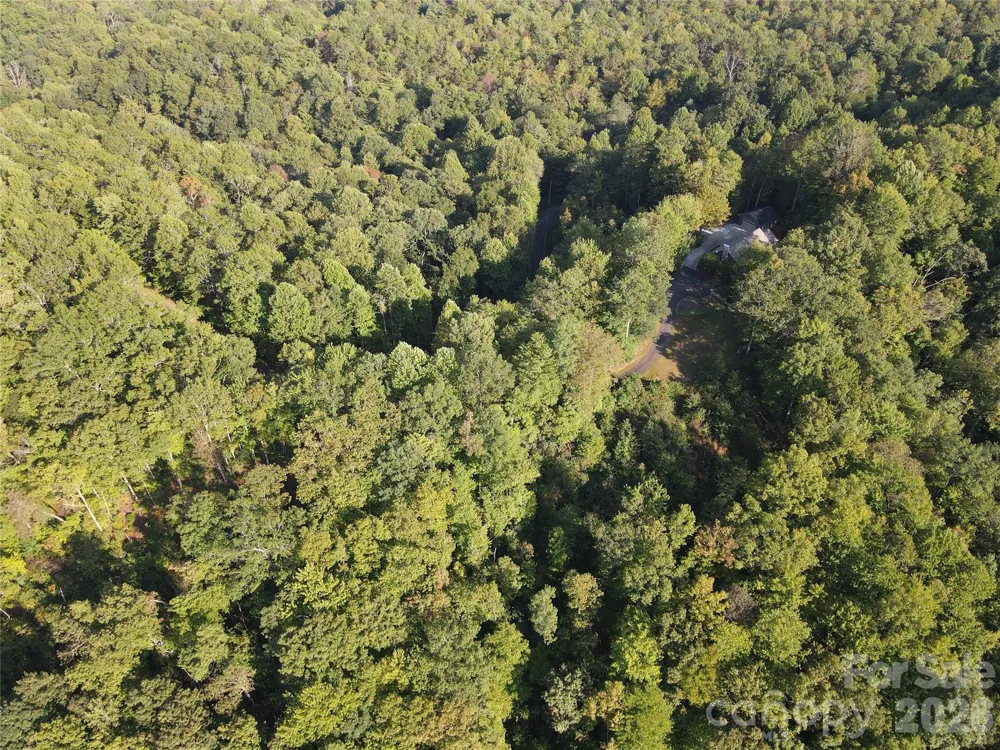 303 Ladd Ridge Rosman, NC 28772