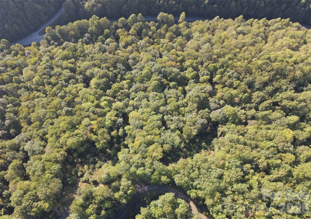 303 Ladd Ridge Rosman, NC 28772