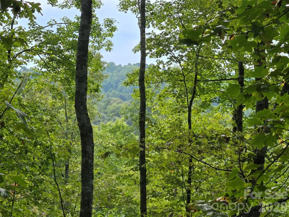 303 Ladd Ridge Rosman, NC 28772