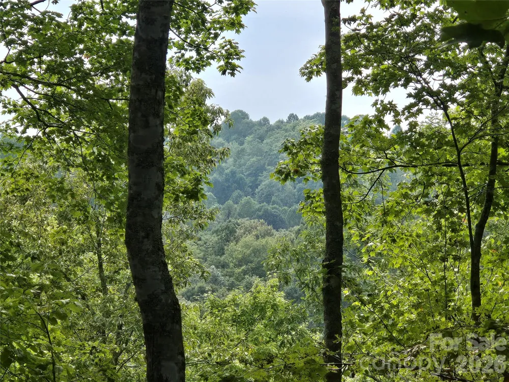 303 Ladd Ridge Rosman, NC 28772