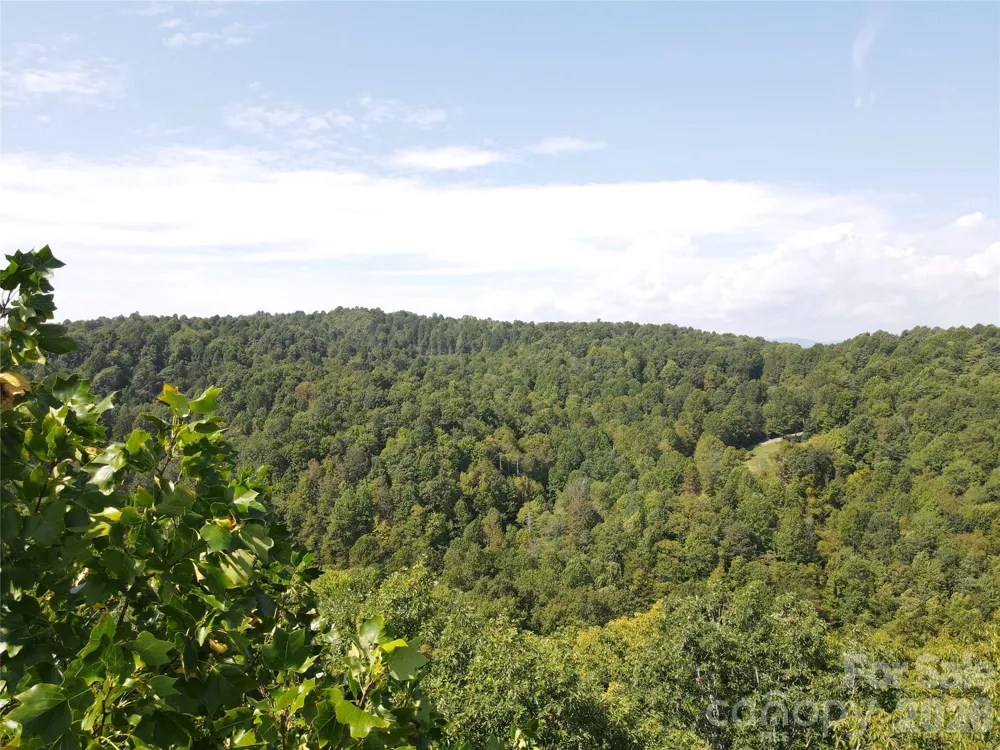 303 Ladd Ridge Rosman, NC 28772
