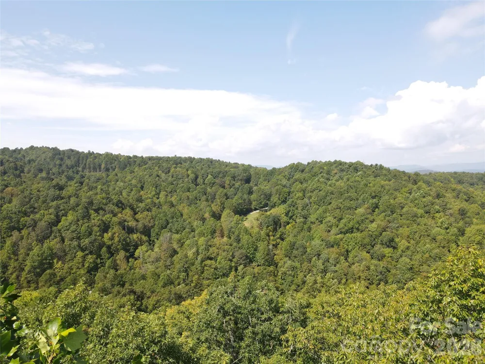 303 Ladd Ridge Rosman, NC 28772