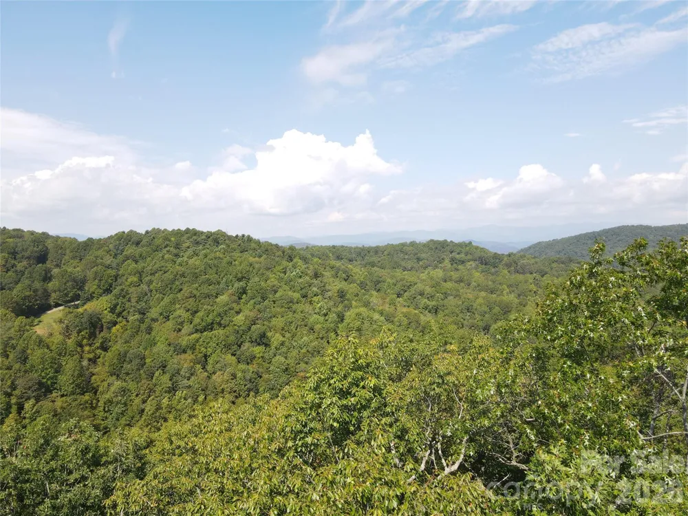 303 Ladd Ridge Rosman, NC 28772