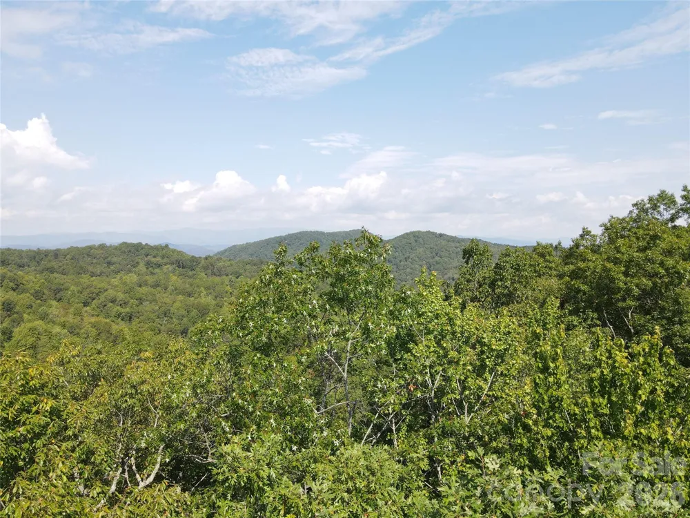 303 Ladd Ridge Rosman, NC 28772