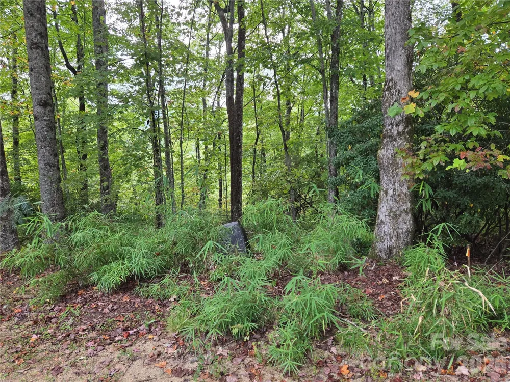 303 Ladd Ridge Rosman, NC 28772