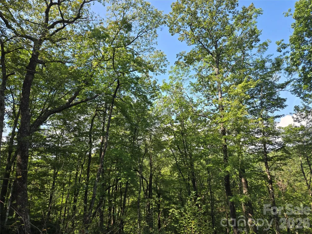 303 Ladd Ridge Rosman, NC 28772