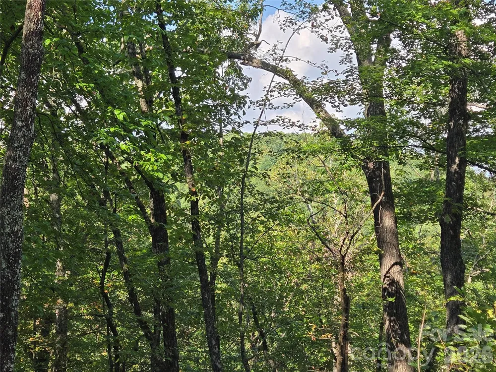 303 Ladd Ridge Rosman, NC 28772