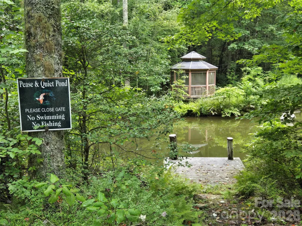 303 Ladd Ridge Rosman, NC 28772
