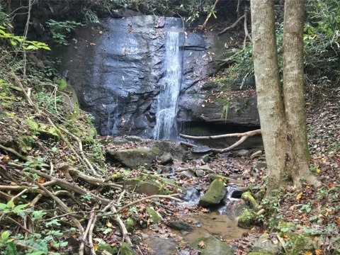 303 Ladd Ridge