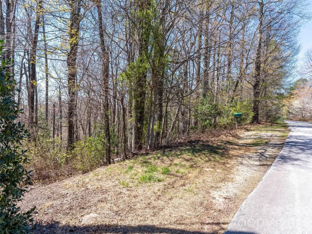 000 Glen Echo Circle Saluda, NC 28773