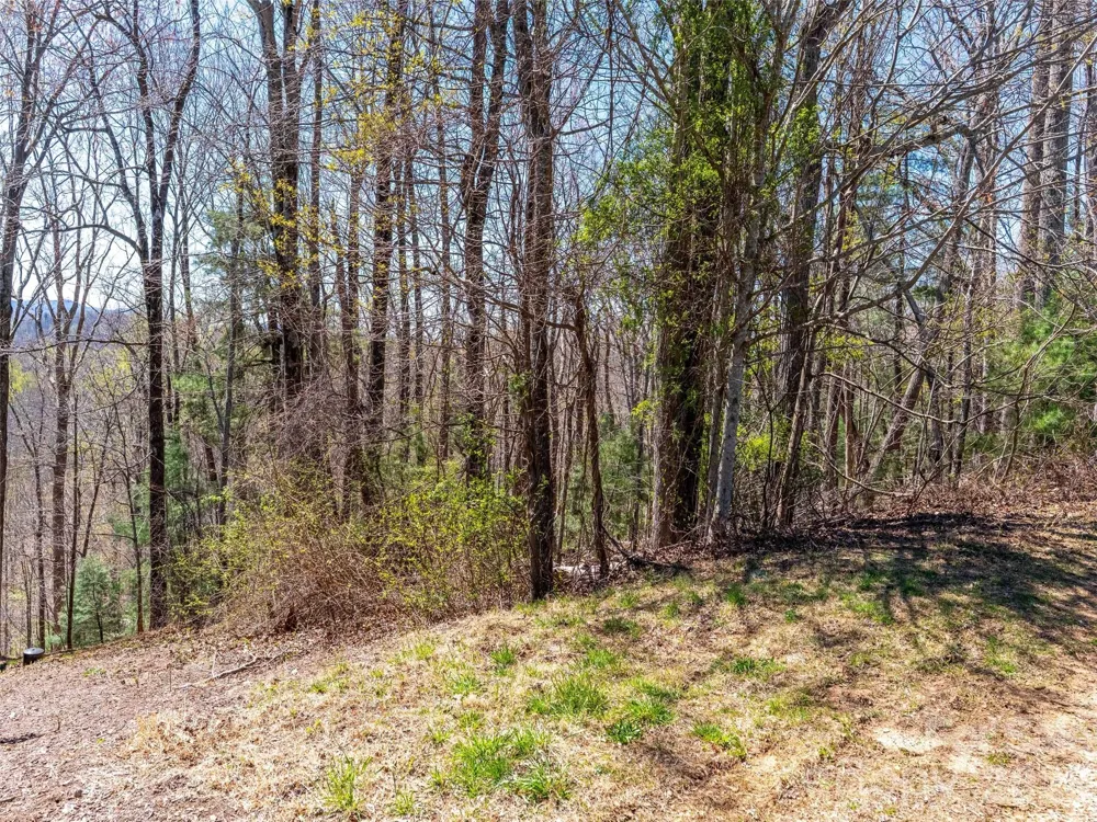 000 Glen Echo Circle Saluda, NC 28773