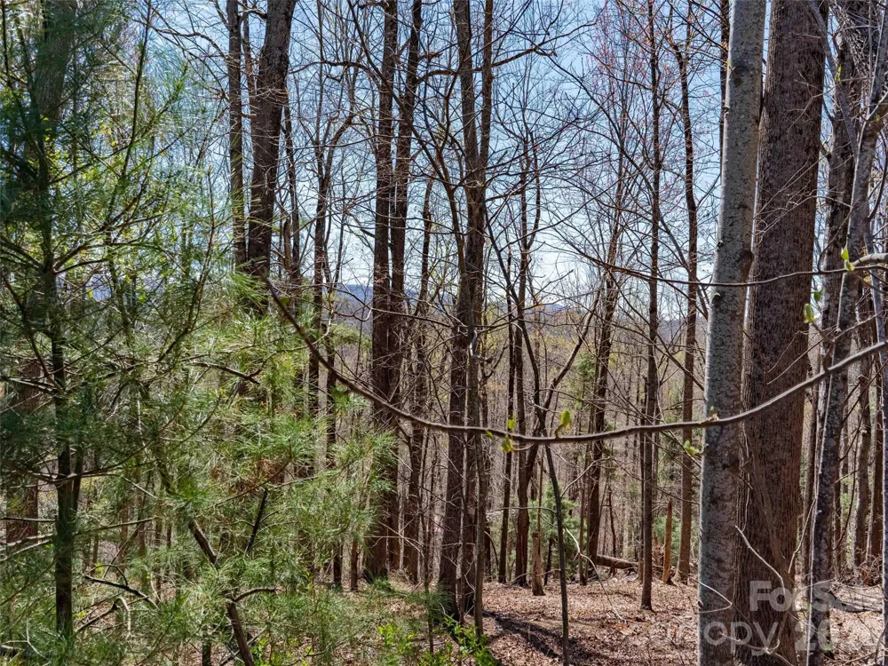 000 Glen Echo Circle Saluda, NC 28773