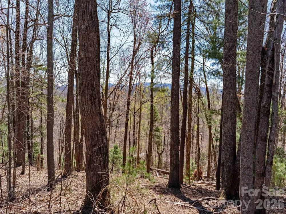000 Glen Echo Circle Saluda, NC 28773