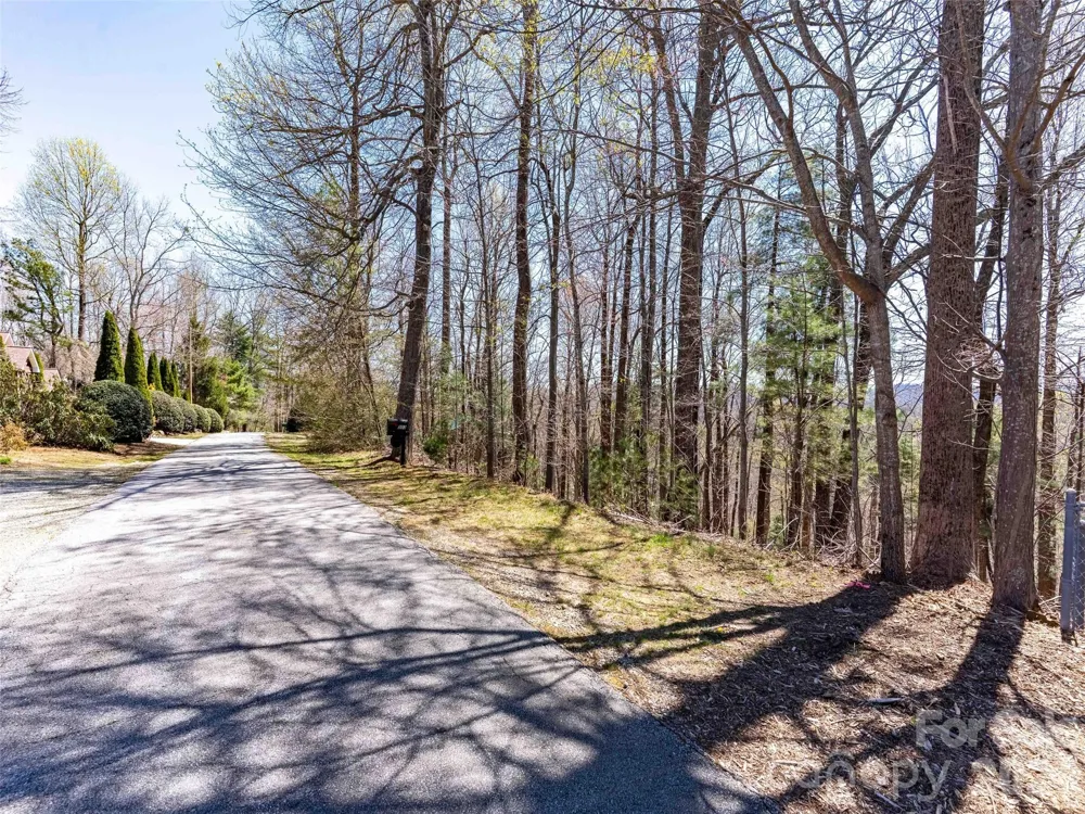 000 Glen Echo Circle Saluda, NC 28773