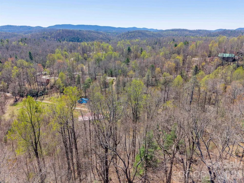 000 Glen Echo Circle Saluda, NC 28773