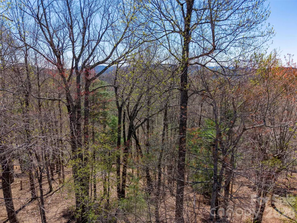 000 Glen Echo Circle Saluda, NC 28773