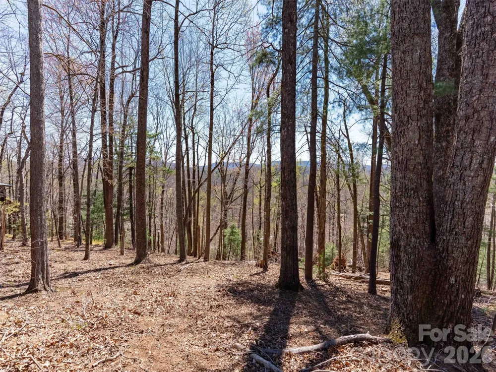 000 Glen Echo Circle Saluda, NC 28773