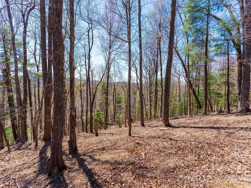 000 Glen Echo Circle Saluda, NC 28773