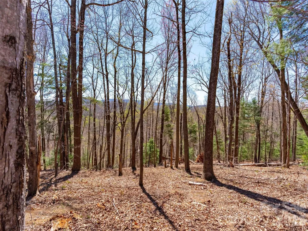 000 Glen Echo Circle Saluda, NC 28773