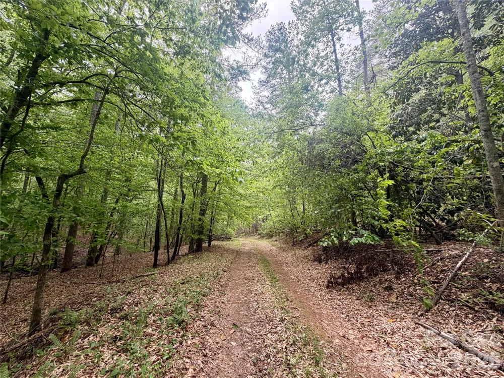 0 Polk County Line Road Rutherfordton, NC 28139