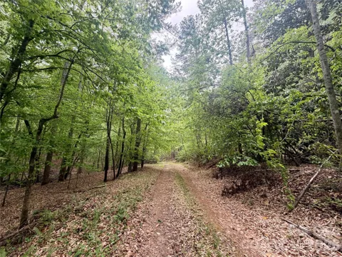 0 Polk County Line Road