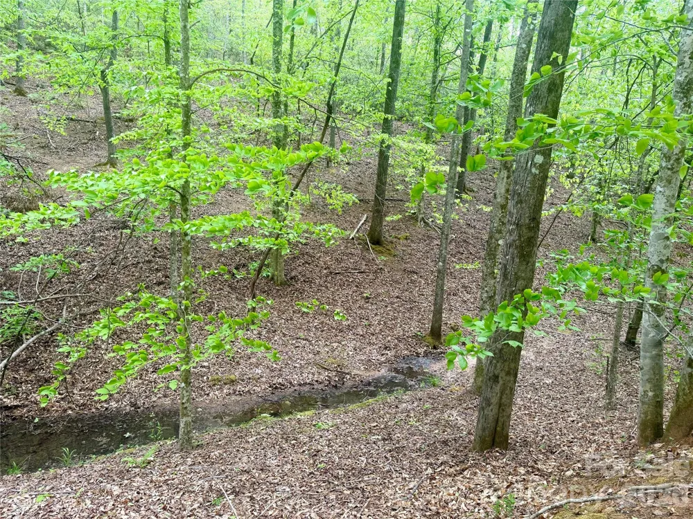 0 Polk County Line Road Rutherfordton, NC 28139