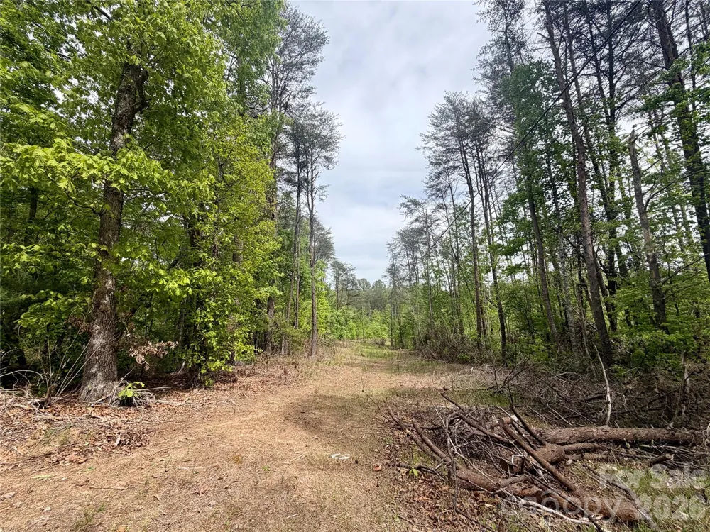 0 Polk County Line Road Rutherfordton, NC 28139