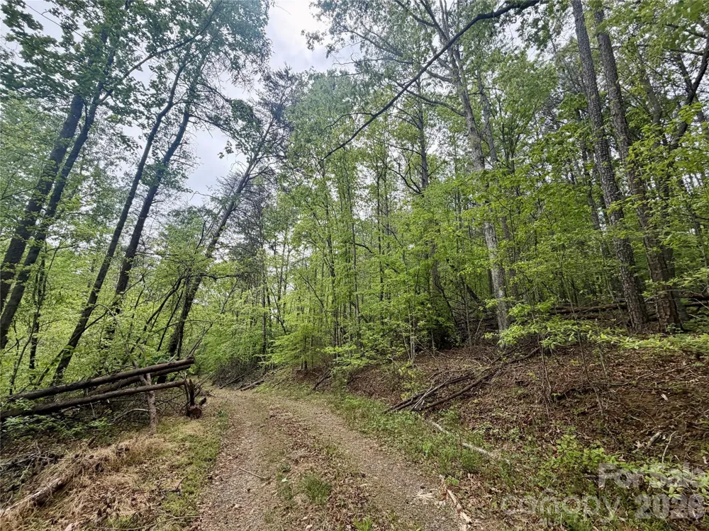0 Polk County Line Road Rutherfordton, NC 28139