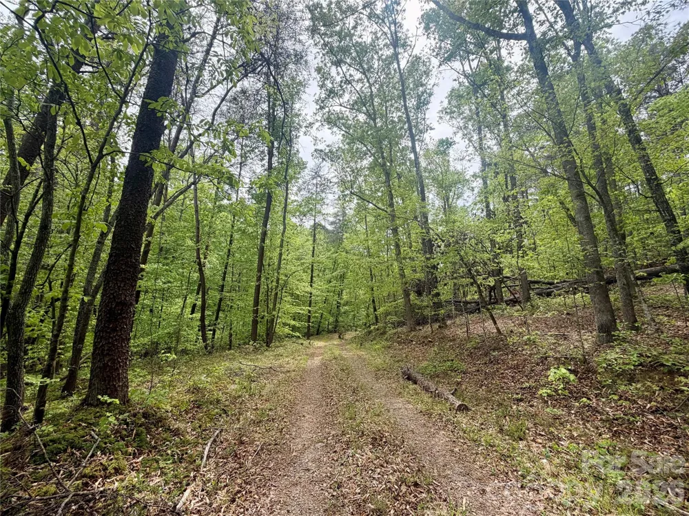 0 Polk County Line Road Rutherfordton, NC 28139