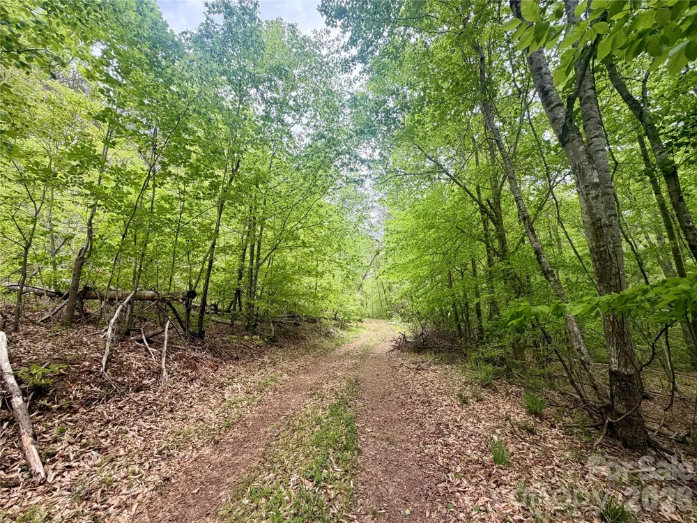 0 Polk County Line Road Rutherfordton, NC 28139