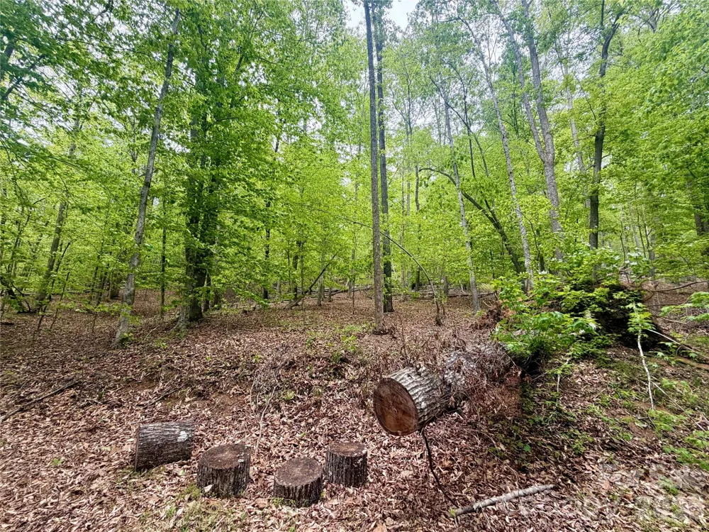 0 Polk County Line Road Rutherfordton, NC 28139