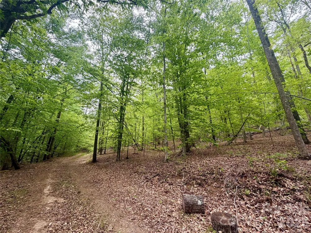 0 Polk County Line Road Rutherfordton, NC 28139