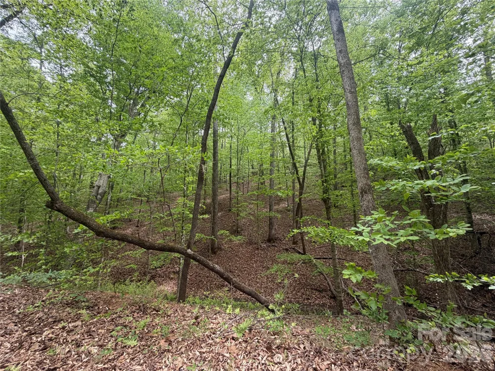 0 Polk County Line Road Rutherfordton, NC 28139