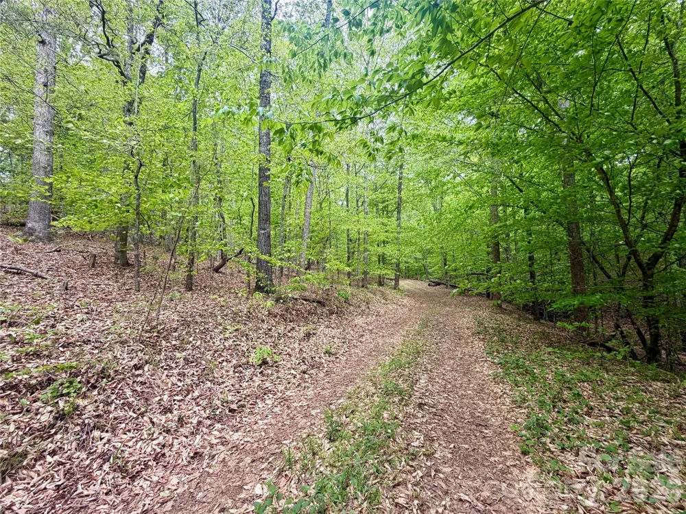 0 Polk County Line Road Rutherfordton, NC 28139