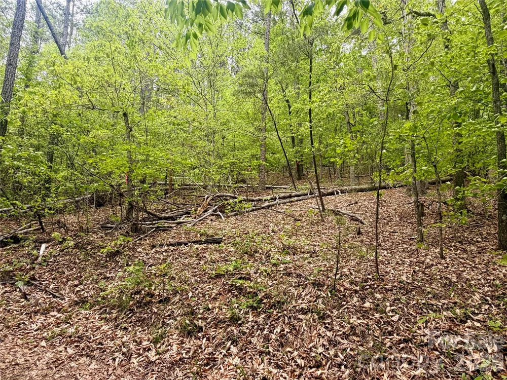 0 Polk County Line Road Rutherfordton, NC 28139