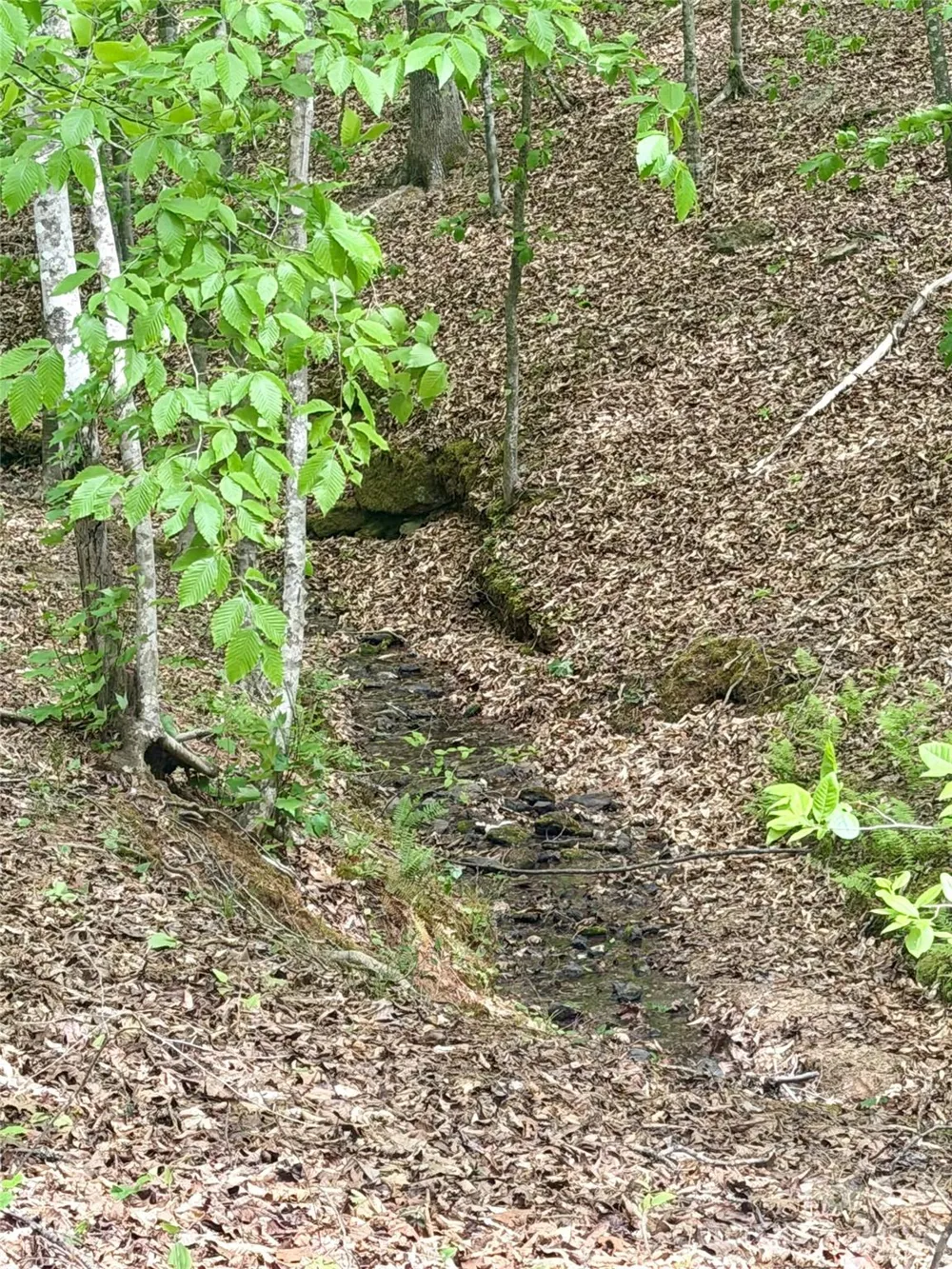 0 Polk County Line Road Rutherfordton, NC 28139