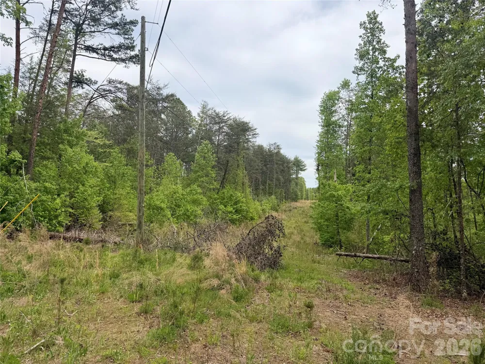0 Polk County Line Road Rutherfordton, NC 28139