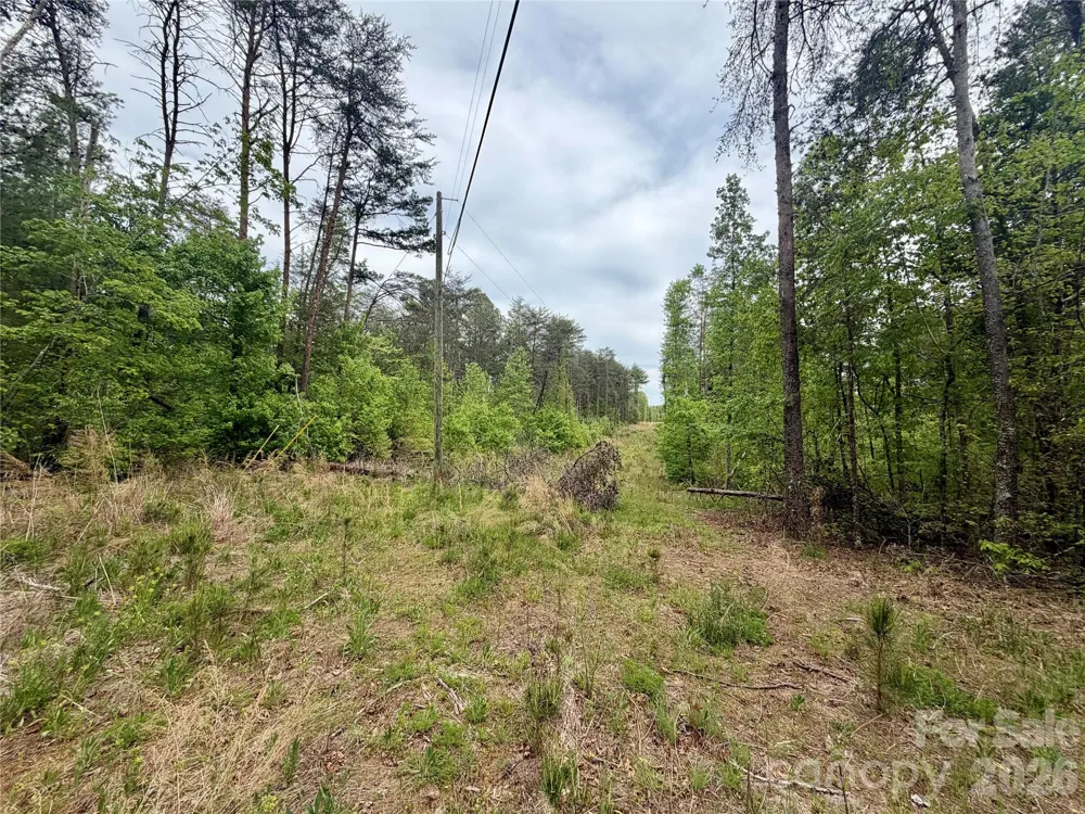 0 Polk County Line Road Rutherfordton, NC 28139