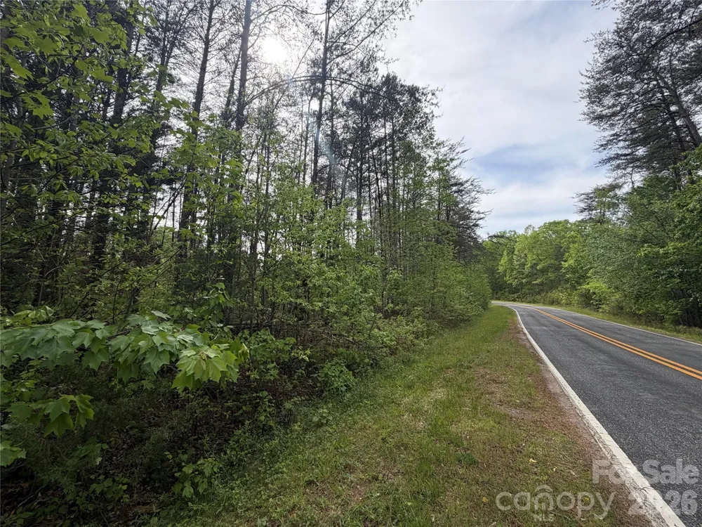 0 Polk County Line Road Rutherfordton, NC 28139