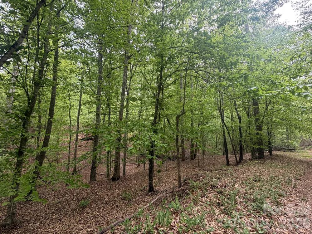 0 Polk County Line Road Rutherfordton, NC 28139