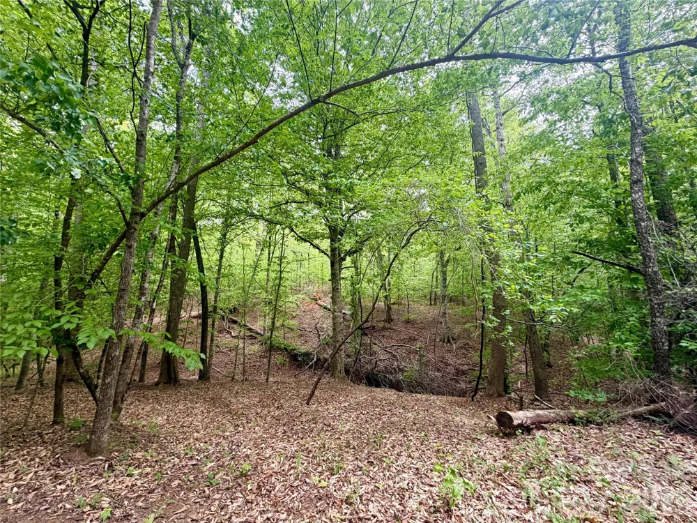 0 Polk County Line Road Rutherfordton, NC 28139